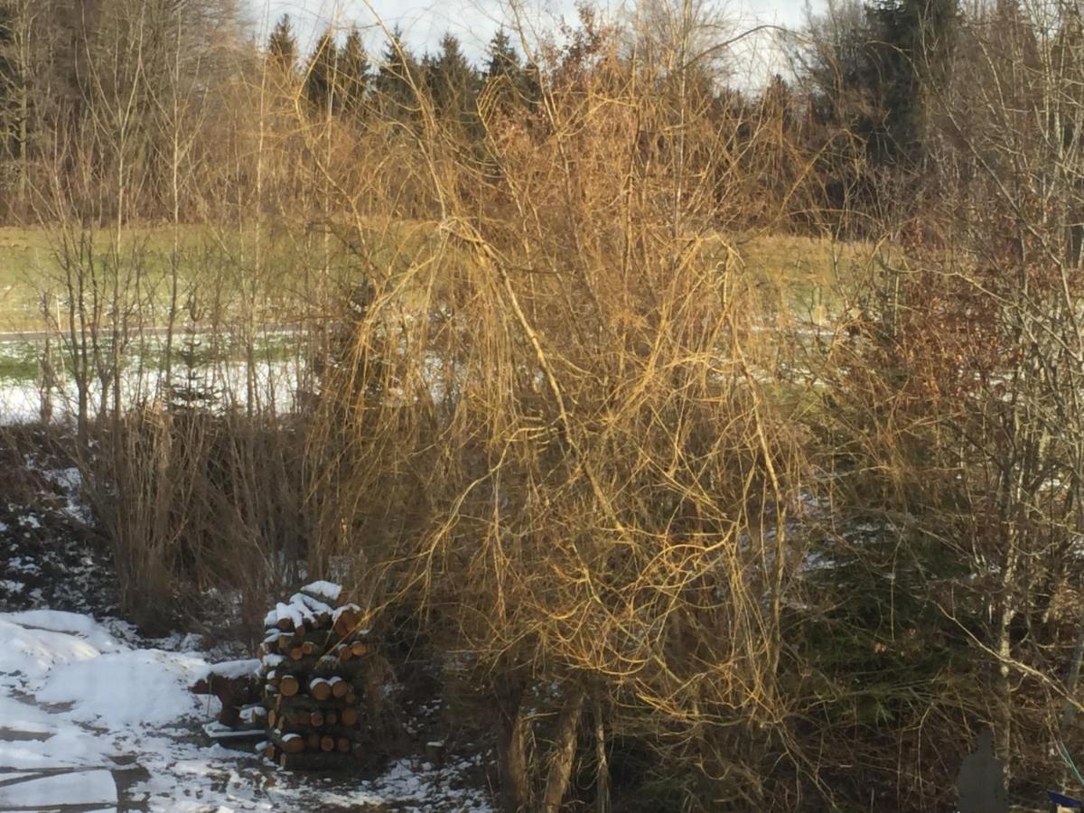 Privatzimmer Vermietung Helmut Bürgmann Kirchberg bei Mattighofen Exterior foto